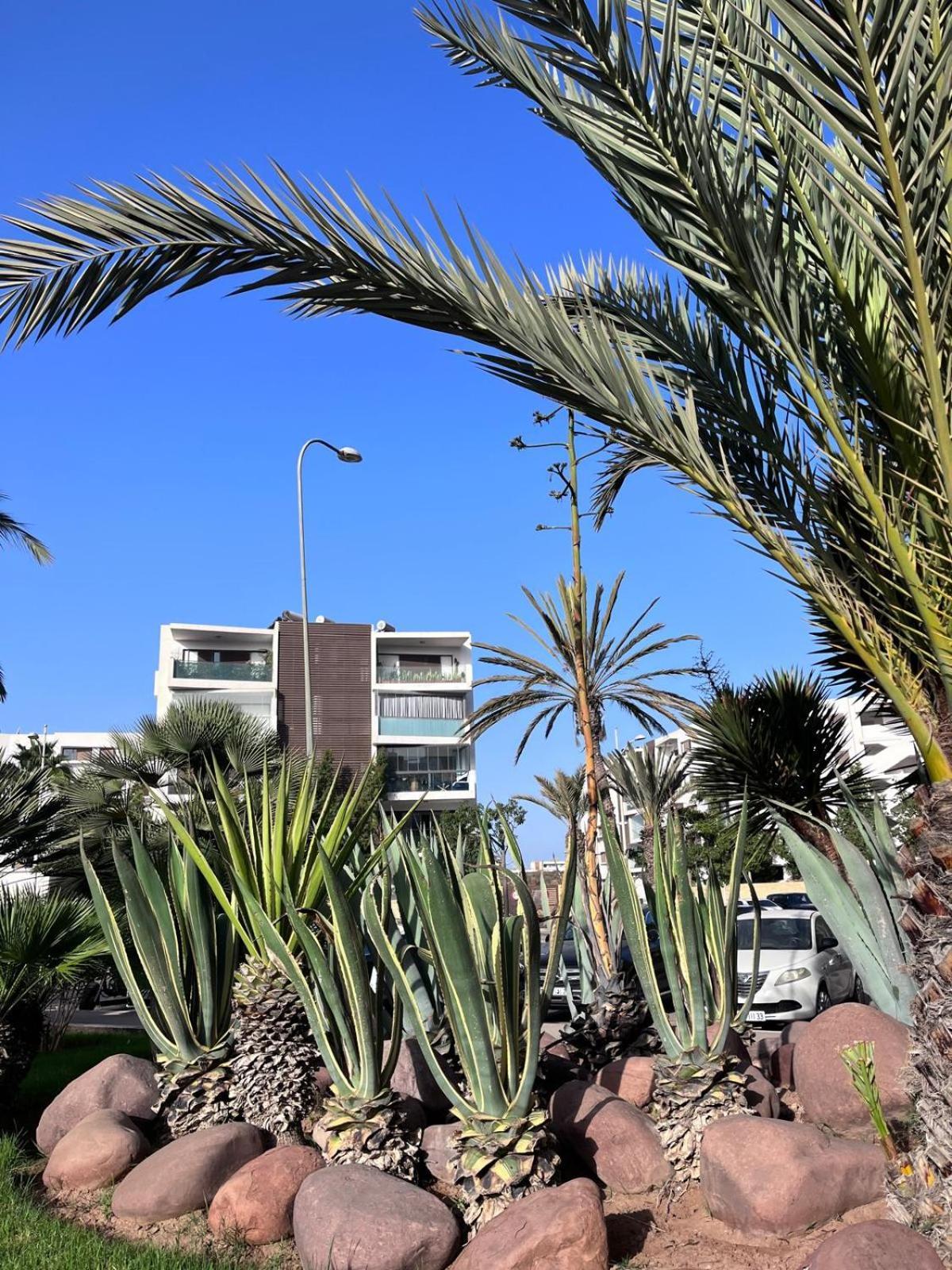 Appartement De Haut Standing En Residence Agadir Buitenkant foto